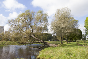 Similar image 5560974