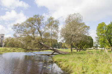 Similar image 5560975