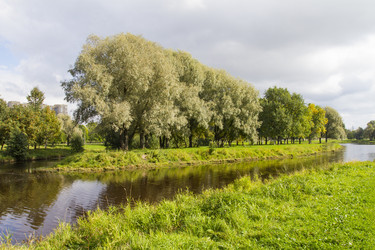 Similar image 5560981