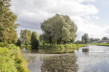 Similar image 5560987