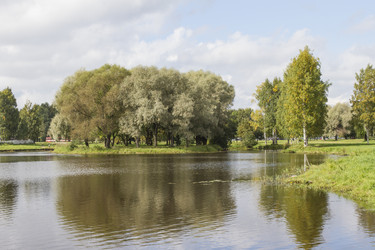 Similar image 5560988