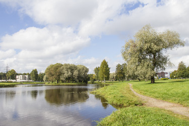 Similar image 5560989