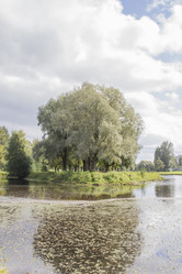 Similar image 5560994