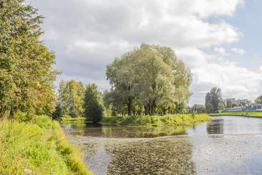 Similar image 5560995