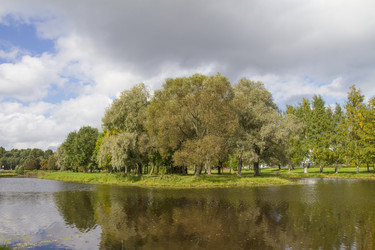 Similar image 5561011