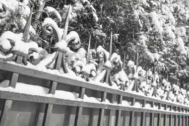 Similar image 5561016