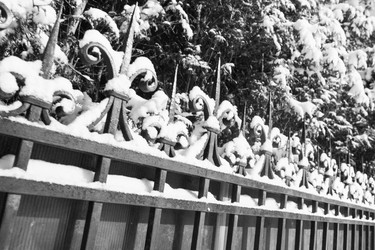 Similar image 5561017