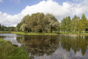 Similar image 5561022