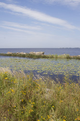 Similar image 5561023