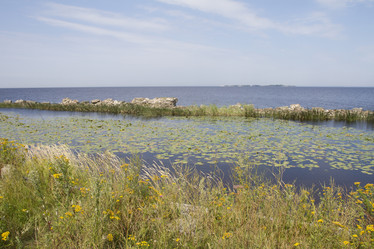 Similar image 5561026