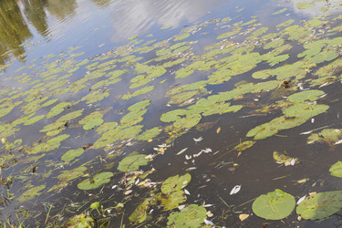 Similar image 5561030