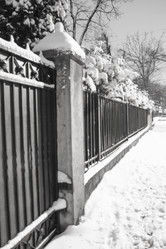 Similar image 5561036