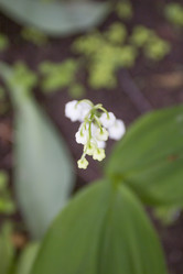 Similar image 5561037