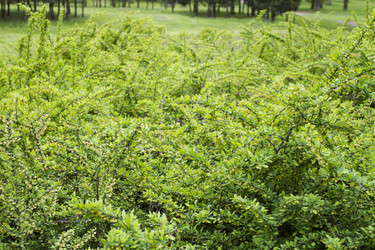 Similar image 5561038