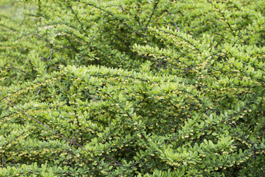 Similar image 5561040