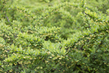 Similar image 5561044