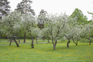 Similar image 5561045