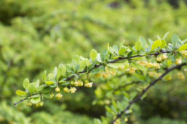 Similar image 5561046