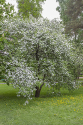 Similar image 5561047