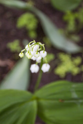 Similar image 5561050