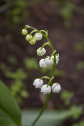 Similar image 5561051