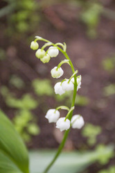 Similar image 5561052