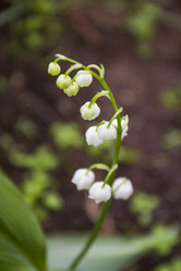 Similar image 5561053