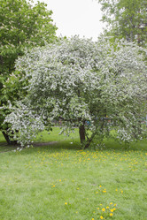 Similar image 5561055