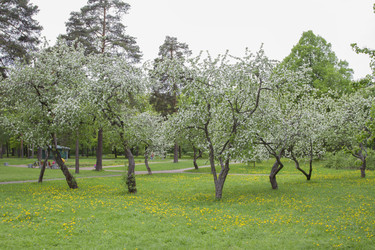 Similar image 5561056