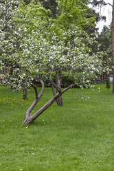 Similar image 5561058