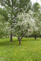 Similar image 5561066