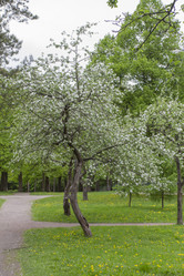 Similar image 5561068