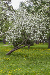 Similar image 5561070