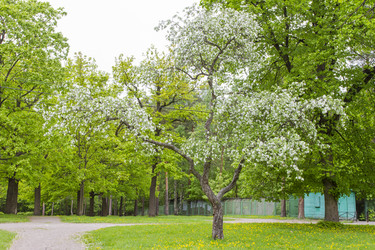 Similar image 5561071