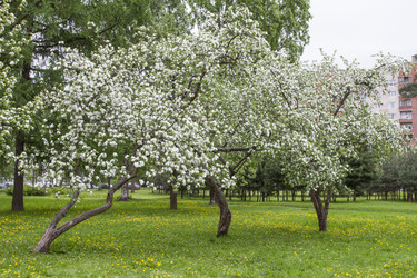 Similar image 5561072