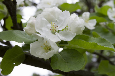 Similar image 5561073