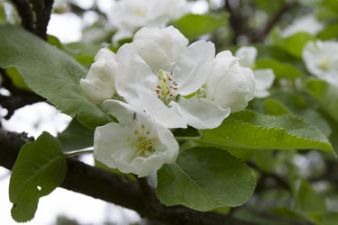 Similar image 5561074