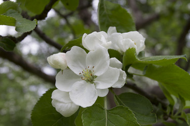 Similar image 5561075