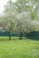 Similar image 5561081