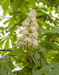 Similar image 5561082