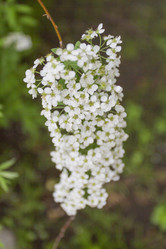 Similar image 5561084