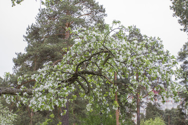 Similar image 5561085