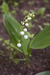 Similar image 5561088