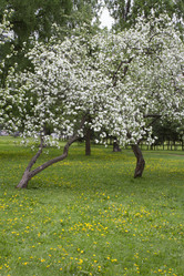 Similar image 5561087