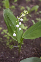 Similar image 5561089