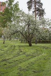 Similar image 5561090