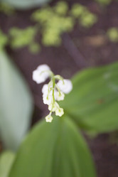 Similar image 5561091