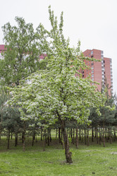 Similar image 5561092