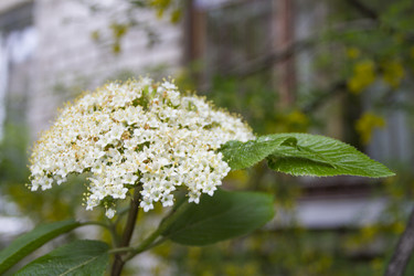 Similar image 5561093