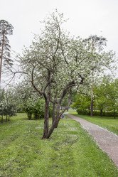 Similar image 5561094